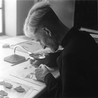 B.ST.STARCKY.2 - 96dpi_Reduced 50%