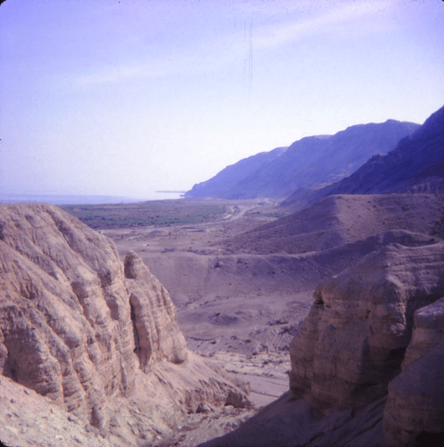 Davies_Slide_10