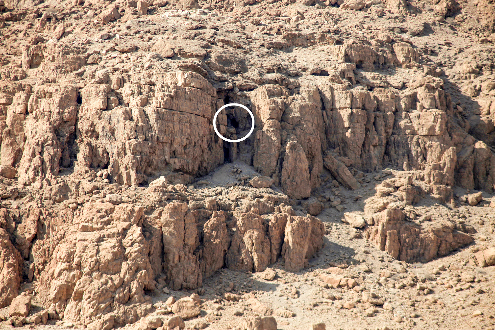 2Q Close up Circle web Schick